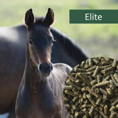 Horsepro Elite 20 kg