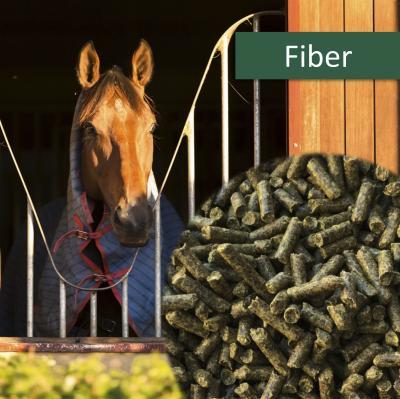 HorsePro Fiber 20 kg